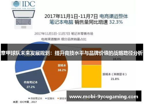 意甲球队未来发展规划：提升竞技水平与品牌价值的战略路径分析