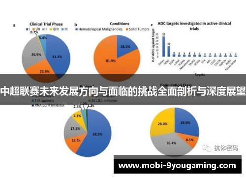 中超联赛未来发展方向与面临的挑战全面剖析与深度展望