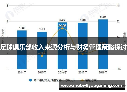 足球俱乐部收入来源分析与财务管理策略探讨
