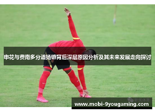 申花与费南多分道扬镳背后深层原因分析及其未来发展走向探讨