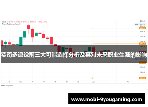 费南多退役前三大可能选择分析及其对未来职业生涯的影响