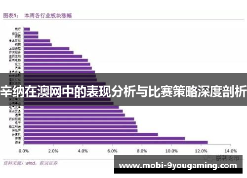辛纳在澳网中的表现分析与比赛策略深度剖析