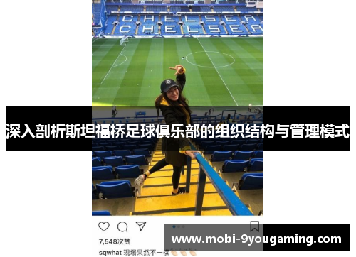 深入剖析斯坦福桥足球俱乐部的组织结构与管理模式