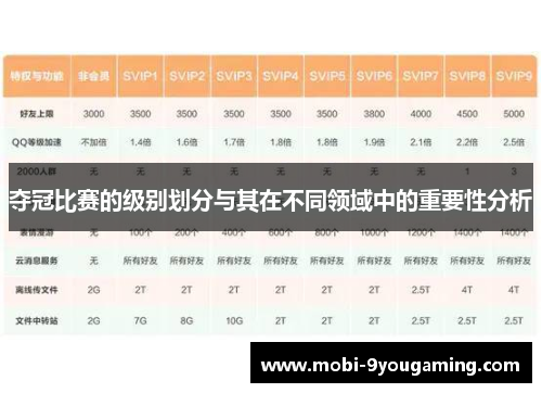 夺冠比赛的级别划分与其在不同领域中的重要性分析