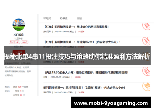 揭秘北单4串11投注技巧与策略助你精准盈利方法解析