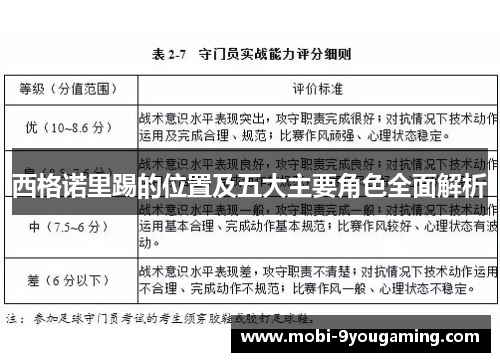 西格诺里踢的位置及五大主要角色全面解析