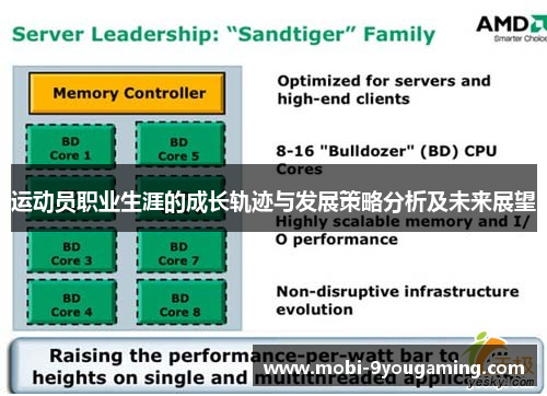 运动员职业生涯的成长轨迹与发展策略分析及未来展望