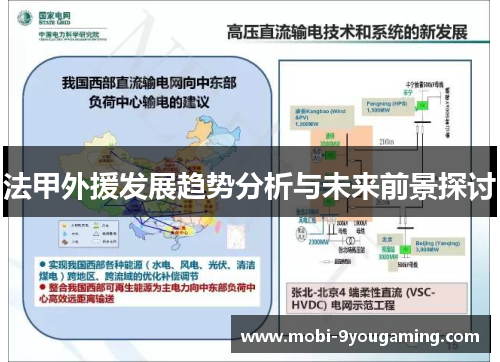 法甲外援发展趋势分析与未来前景探讨