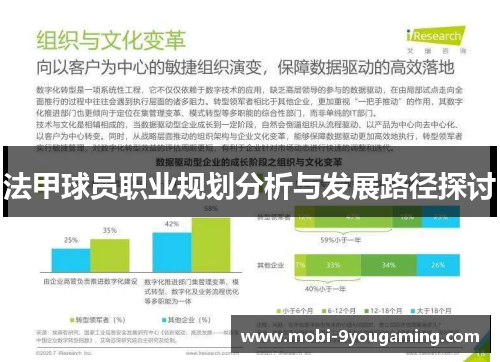 法甲球员职业规划分析与发展路径探讨